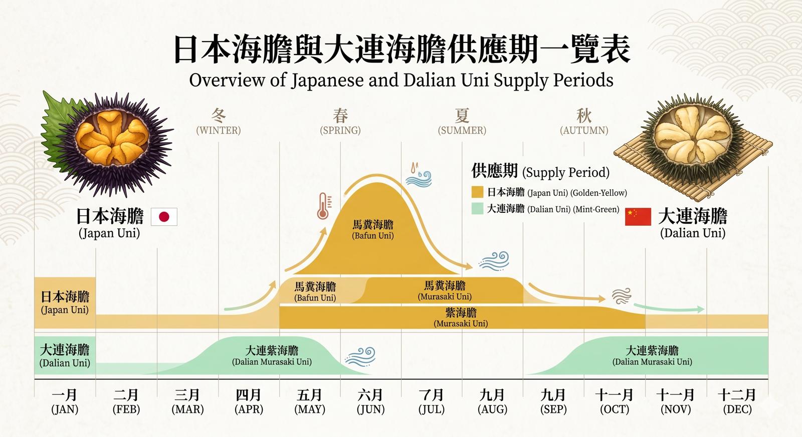 日本海膽與大連海膽供應期一覽表
